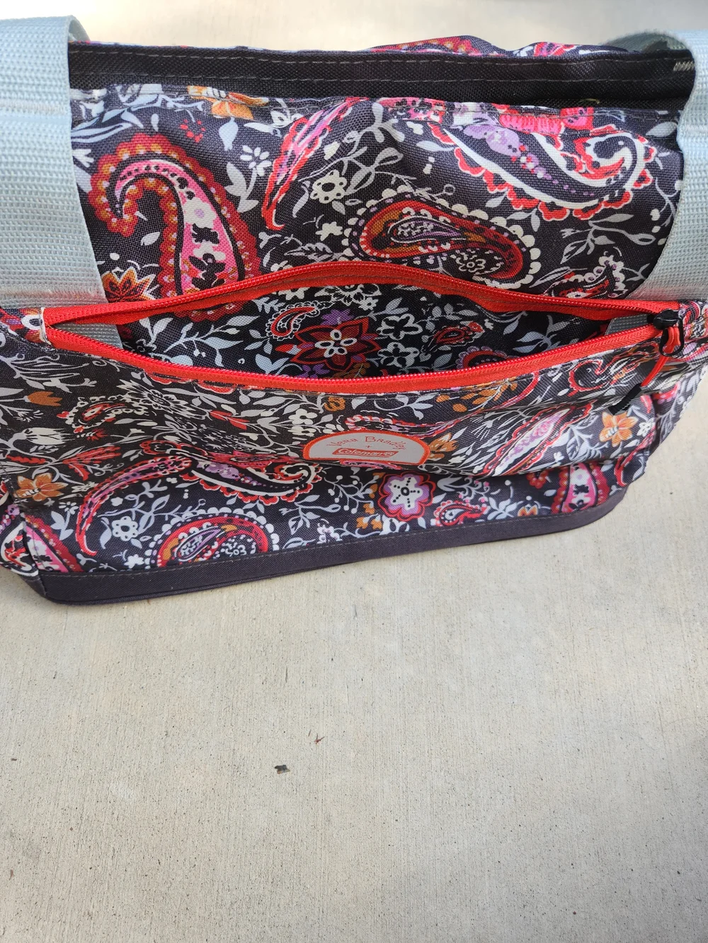 Coleman insulated tote